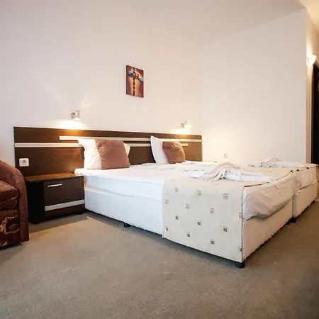 Deva Hotel 3*