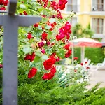 Deva - 3* Sunny Beach