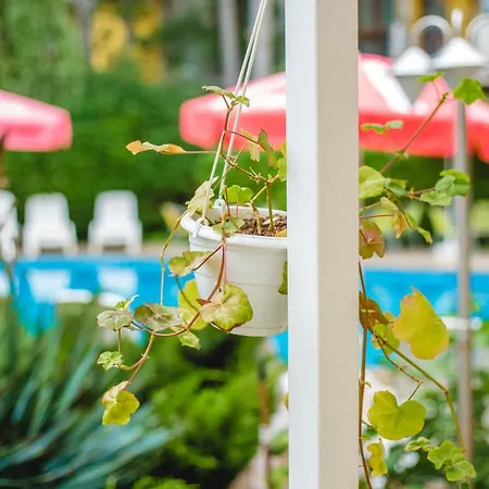 дева - ол инклузив Слънчев бряг