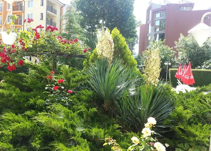 Deva Hotel Sunny Beach